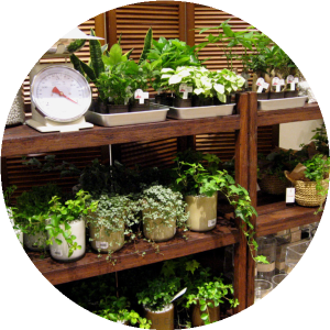 実務で「流通」を学ぶ